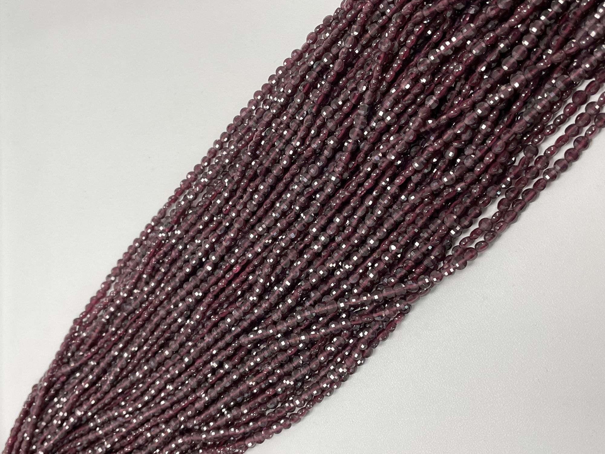 Garnet Coin Faceted