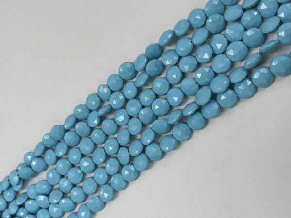 Howlite Coin Faceted