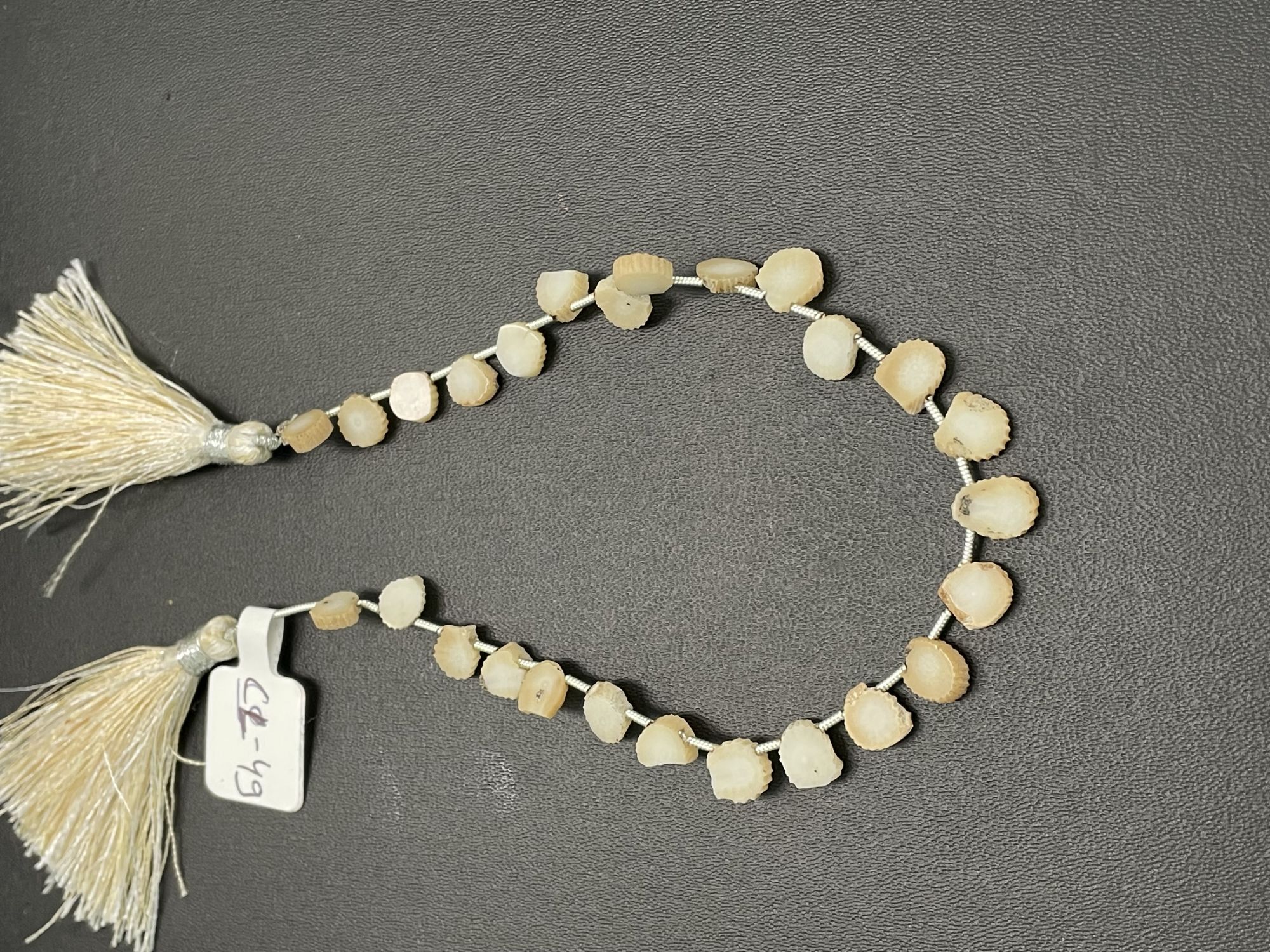 Fossil Coral Slice Smooth