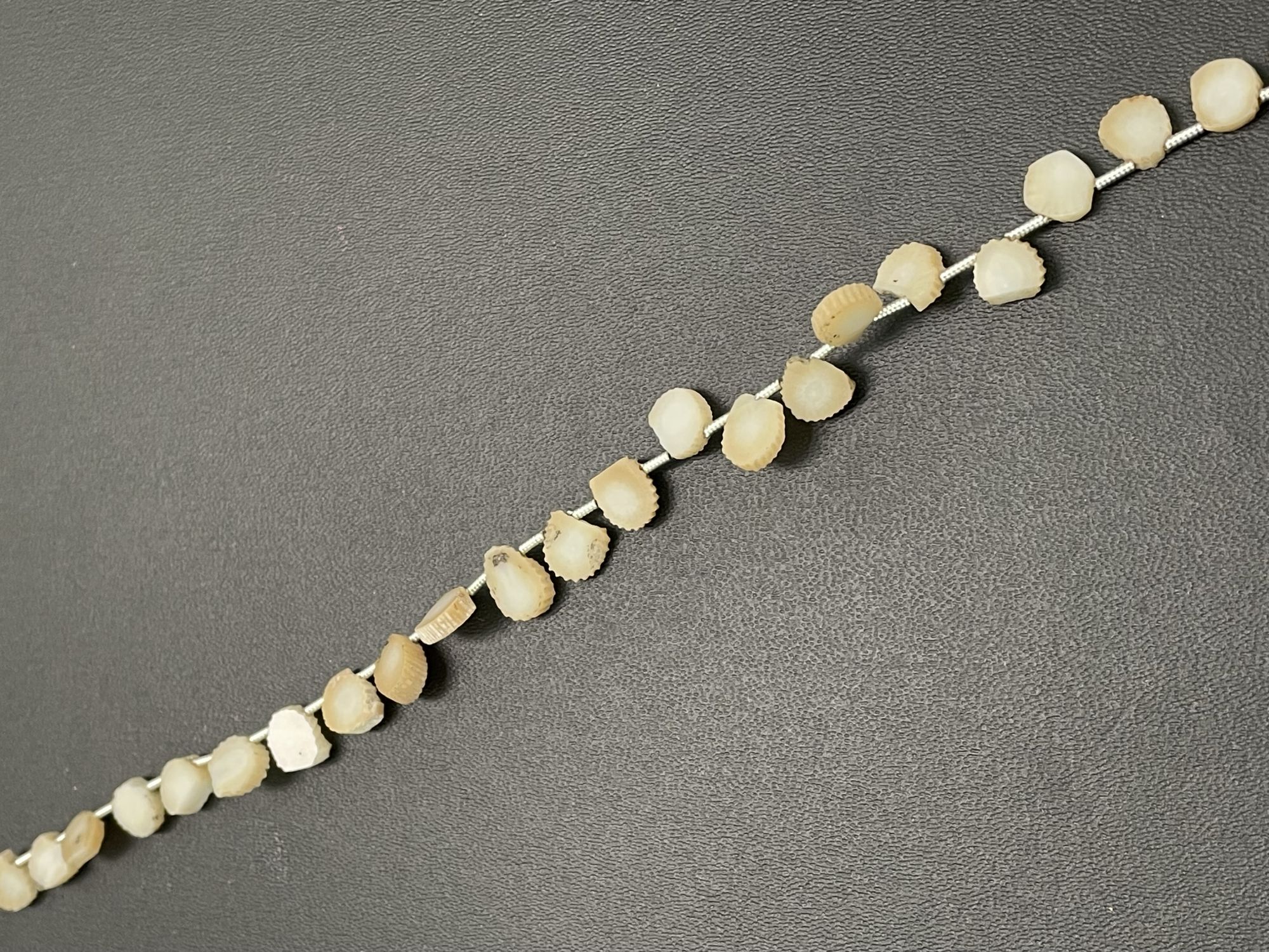 Fossil Coral Slice Smooth