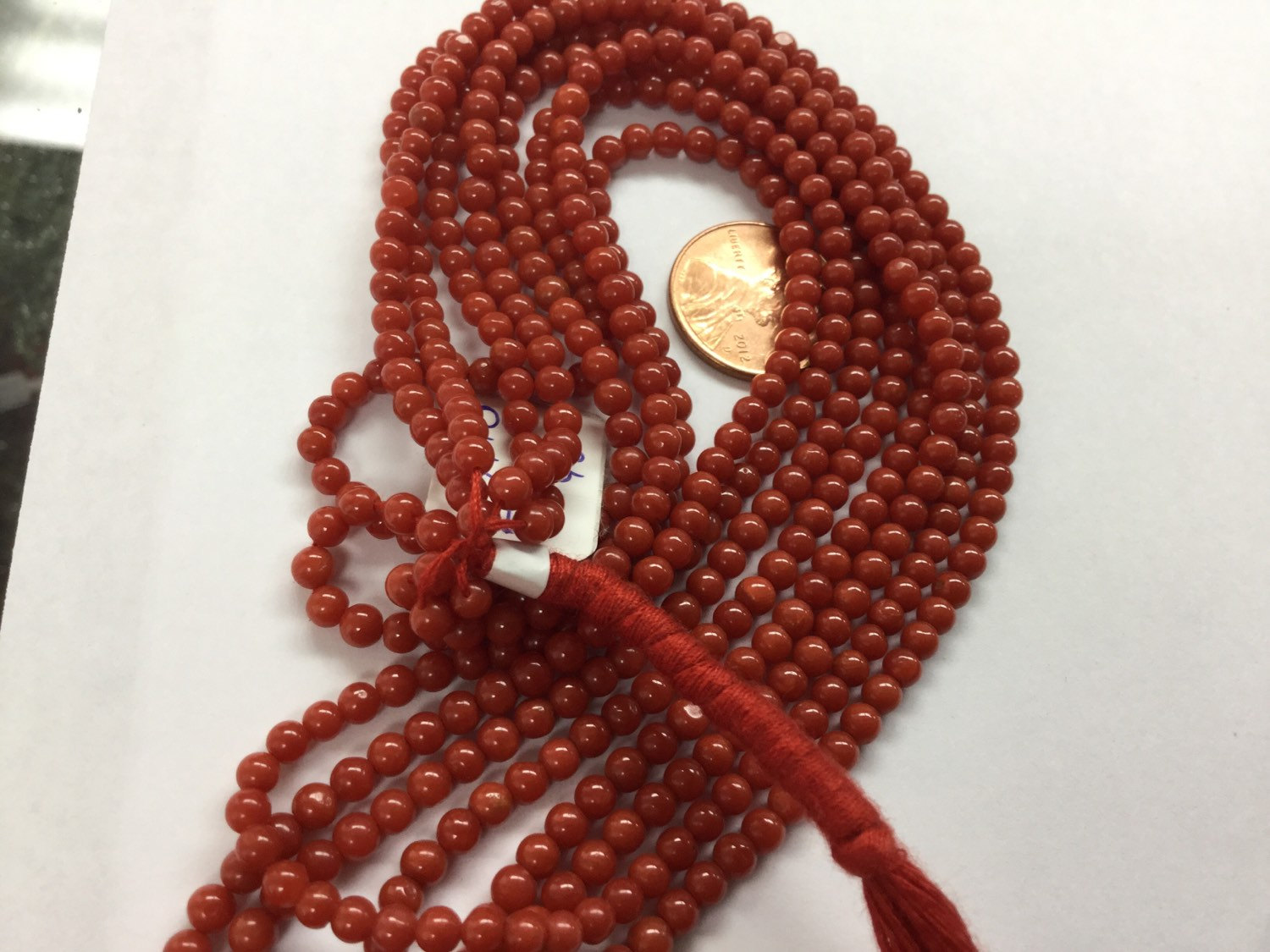 Coral Rounds Smooth